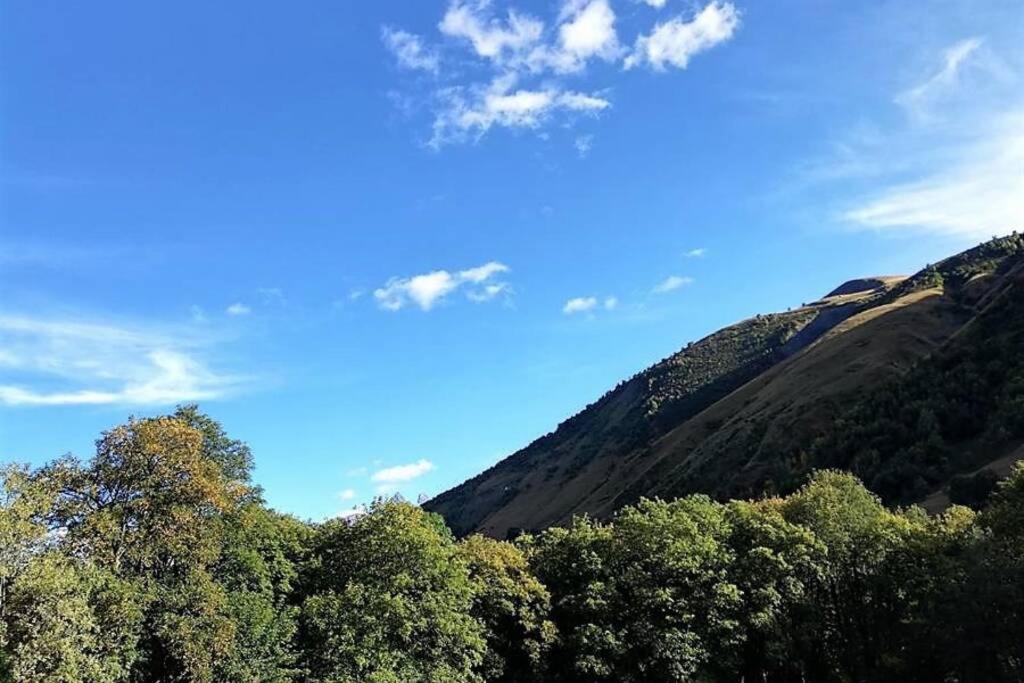 Le Cottage Des Sybelles Saint-Sorlin-dʼArves Esterno foto